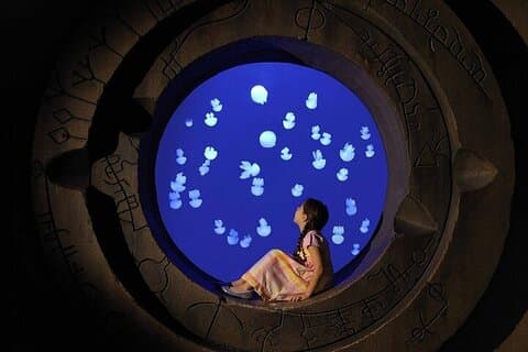The Lost World Aquarium