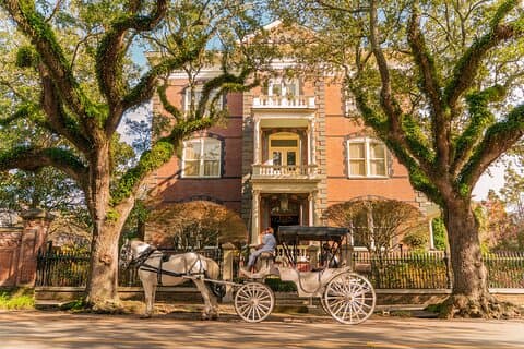 Private Daytime Horse-Drawn Carriage Tour of Charleston