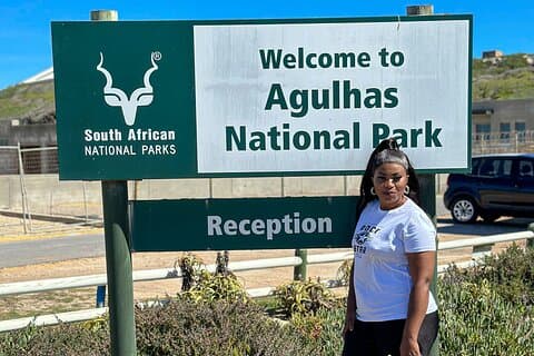Shark Cage Experience with transport from Cape Town