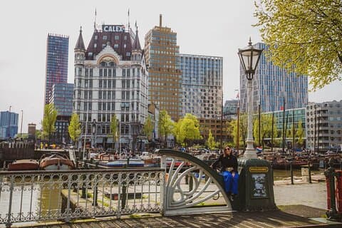 Rotterdam Walk: Highlights, Architecture & WWII Gems | 2 or 3hrs