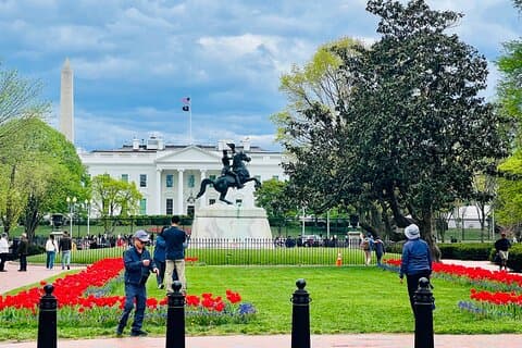 Washington, D.C. Private 4-Hour Day Tour