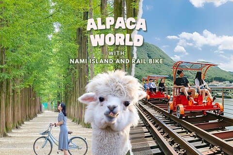 Nami Island, Alpaca World and Gangchon Rail Bike Tour from Seoul