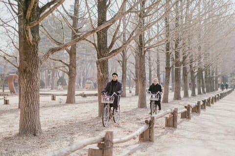 Nami Island, K-garden and Gangchon Rail Bike tour from Seoul