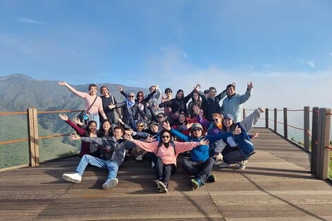 Jeju Island South Unesco Mt Halla One day Bus Tour