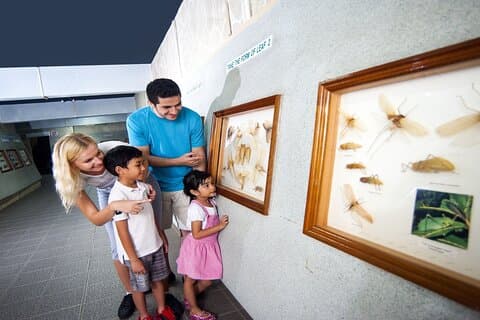 Kuala Lumpur Half Day Family Tour With Aquaria KLCC