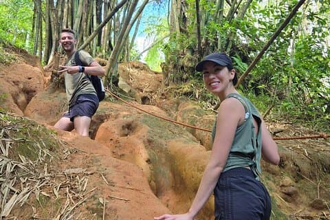 El Yunque Rainforest and Luquillo Kiosk Day Trip