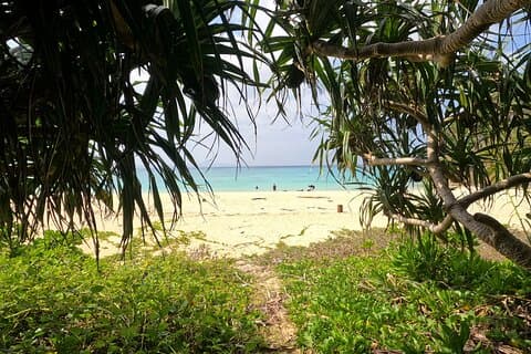 Northern Okinawa Adventure Day: Beaches, Snorkeling & Waterfalls