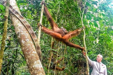 Kuching City Tour plus Semenggoh Wildlife Center