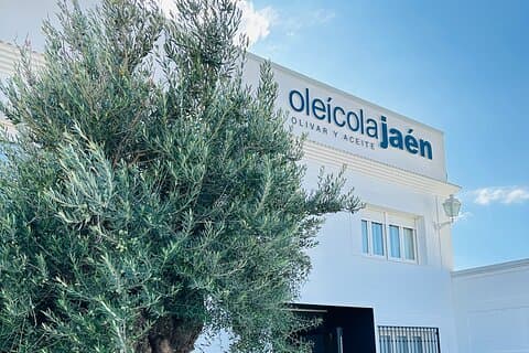 AOVEland : Premium Experience in Author's Mill (Baeza)