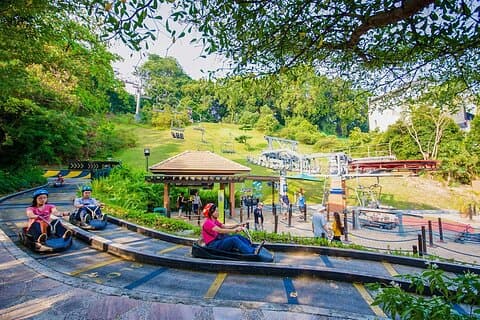 Skyline Luge Ticket Sentosa Island, Singapore