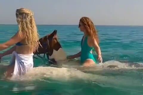 Stone Island HorseBack Riding On the Beach
