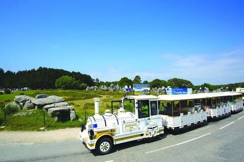 Guided tour of the Megalithic Site of Carnac