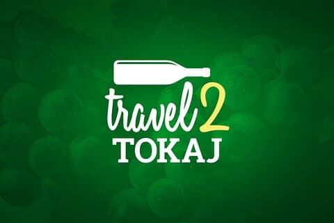 Wine Tasting Tour in Tokaj Wine Region Slovakia. With transport