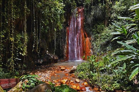 St Lucia Diamond Mineral and Mud Baths Plus Waterfall Adventure