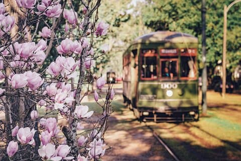 Private Luxury New Orleans City Tour by La Vie NOLA – Highlights