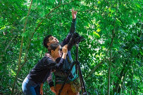 Monteverde Cloud Forest Reserve Guided Walk
