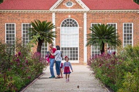 Mount Vernon Guided Estate Tour plus Old Town Alexandria from DC