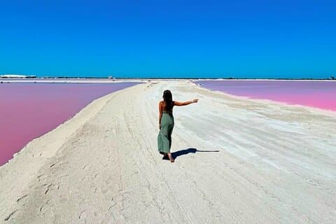 From Cancun: Rio Lagartos, Coloradas and Mayan Bath