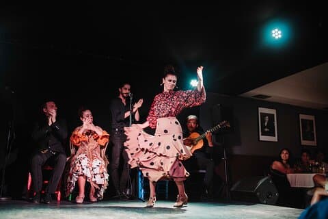 Authentic Flamenco Show with Tapas & Wine Guided Tour