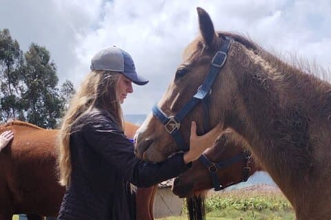 Authentic Quito: Old Town, Domes & National Museum