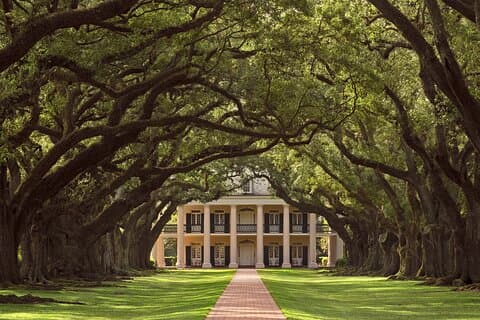 Oak Alley Plantation Tour with Pickup from New Orleans