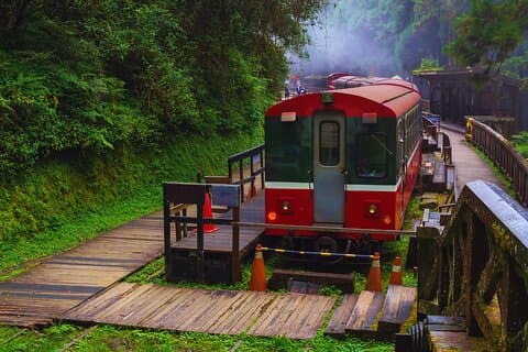 Alishan Private Day Tour from Taichung