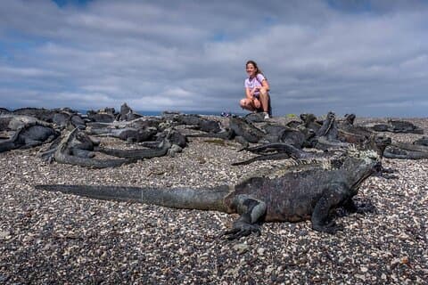 ISABELA II ISLANDS OF FIRE ADVENTURE - NORTHWESTERN (Thurs-Mon)