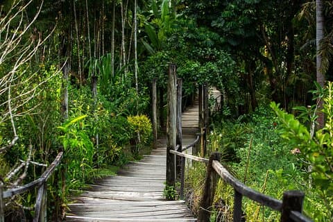 Private Tour: Hot spings & Sleeping Giant Garden hiking Adventure