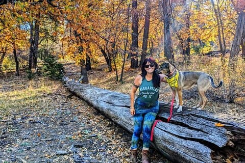 Big Bear Fall Colors Hiking Tour in Southern California