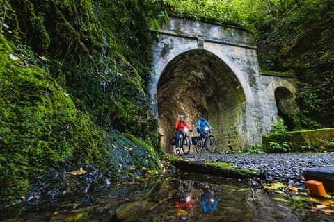Wellington Remutaka Rail Trail eBike Cycle Tour