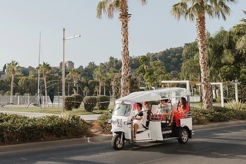 Tour Welcome to Malaga in Eco Tuk Tuk Private with Local Guide