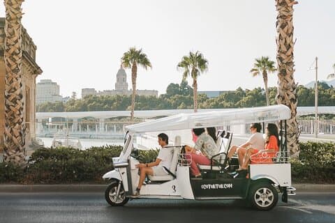 Private Eco Tuk Tuk Malaga Express Tour with Local Guide