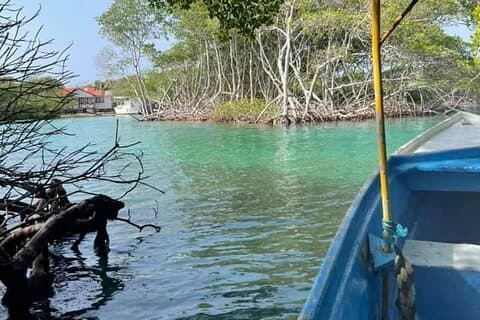 East Side Mangrove Tunnel wildlife encounter History and Culture