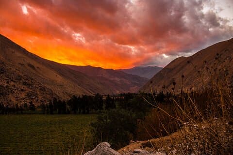 Elqui Valley Tour: History and Flavors