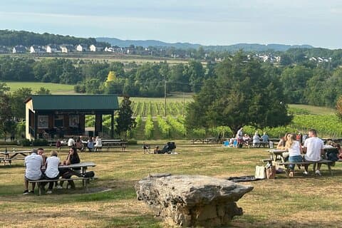 Private Arrington Wine and Franklin Dine Tour from Nashville