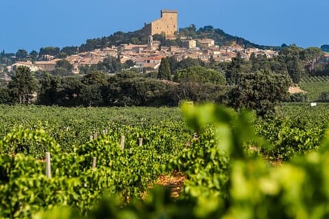 Wine Tasting Tour at Châteauneuf du Pape