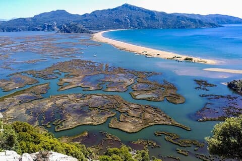 Dalyan Day Trip with Mud Bath and Turtle Beach From Fethiye