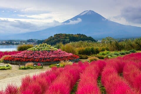 From Tokyo: Private Day Trip to Mount Fuji & Fuji Five lakes