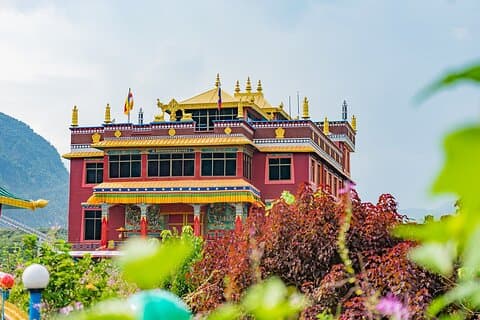 Afternoon Tibetan Cultural Tour to Tibetan Settlements Pokhara