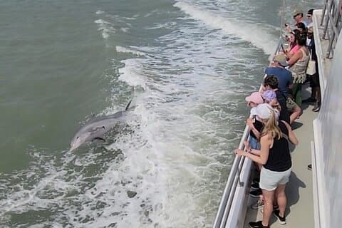 Sunset Dolphin Watch Cruise