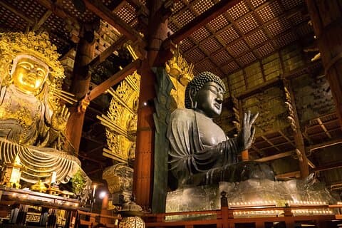 Nara 8hr Private Tour - Osaka DEP. with Licensed Guide