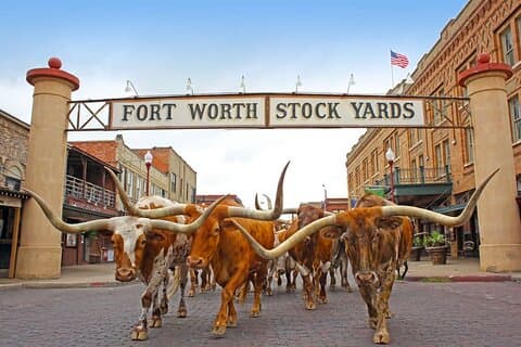 Stockyards Foodie Tour with Food Tours of America