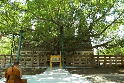 Full day Private Guided Tour of Sarnath from Varanasi