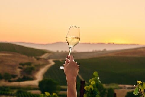 Wine Icons Tour in the Sparkling World of Chandon