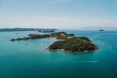 Rotoroa Island Day Trip & Ferry - from Auckland