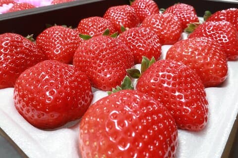 Bus Tour to Dazaifu Yanagawa and Fruits Pick in Fukuoka