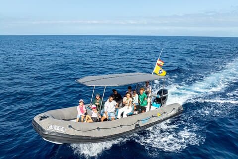 Whale Watching Eco-Adventure from Costa Adeje