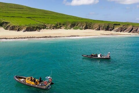 Blasket Island Sea Life Rib Tour,