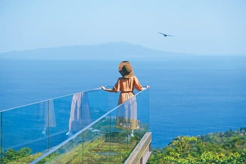 Ultimate View Izu Car Tour with Hotel Pickup and Local Guide
