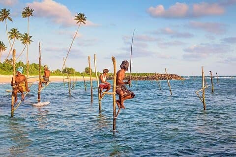 Day trips to Galle from colombo Visiting Its Highlights